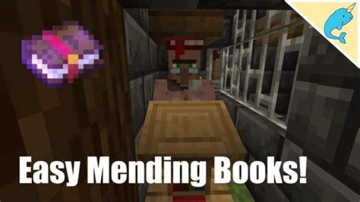 1st 3 Librarian slots are Mending Books?