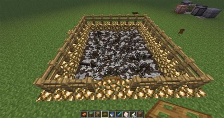 Animals still escape their pens