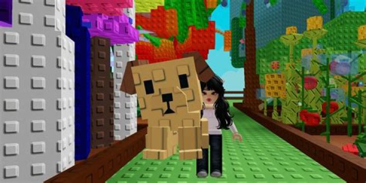 Are the pets bound to a specific character or to the account?