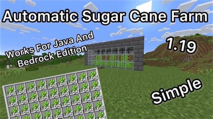 Automatic Sugar cane farm timing