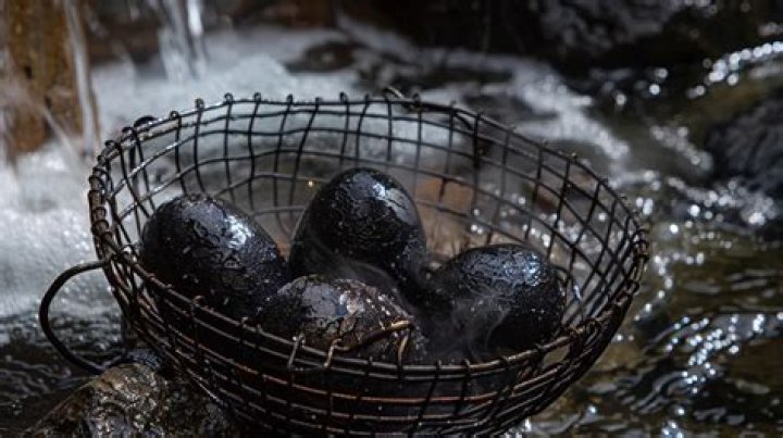 Black bubbling eggs?