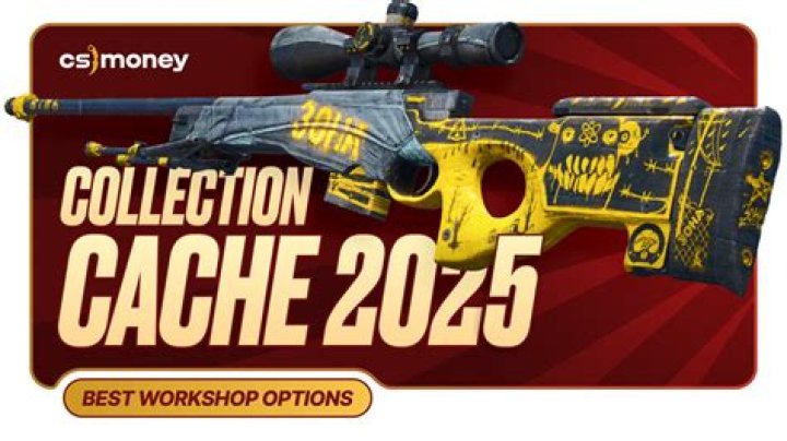 Cache of others skins?