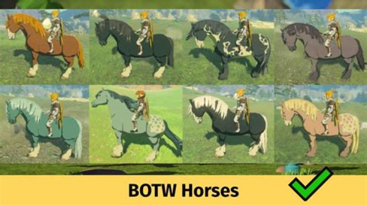 Can't identify this Breath of the Wild ability