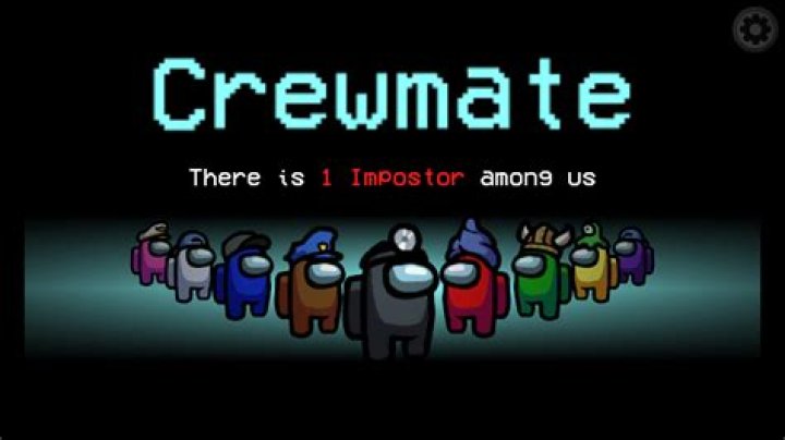 Can't install the sherrif mod for Among us