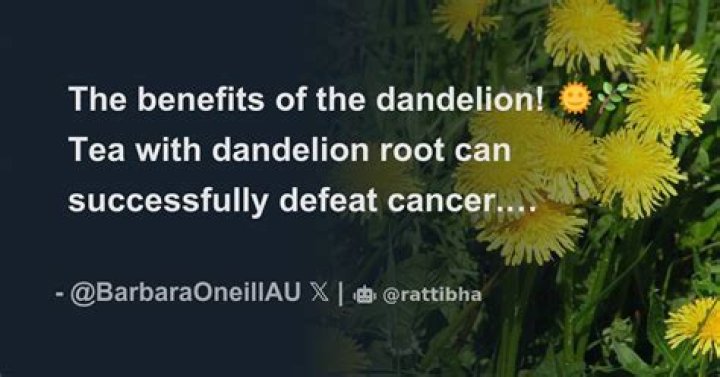 Can Dandelion defeat you?
