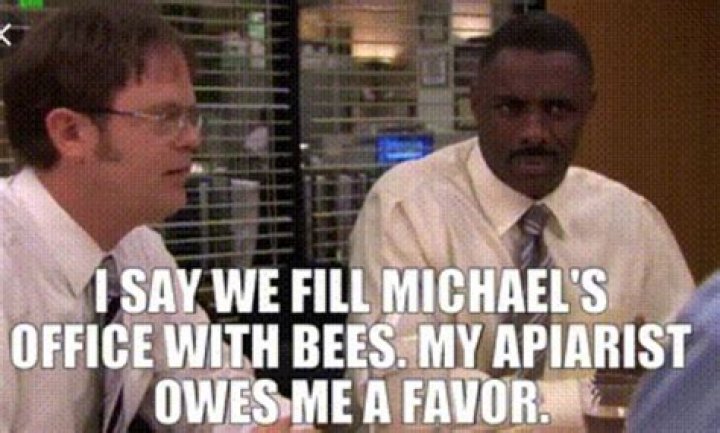 Can I break my apiarist's chest without my bees spilling?