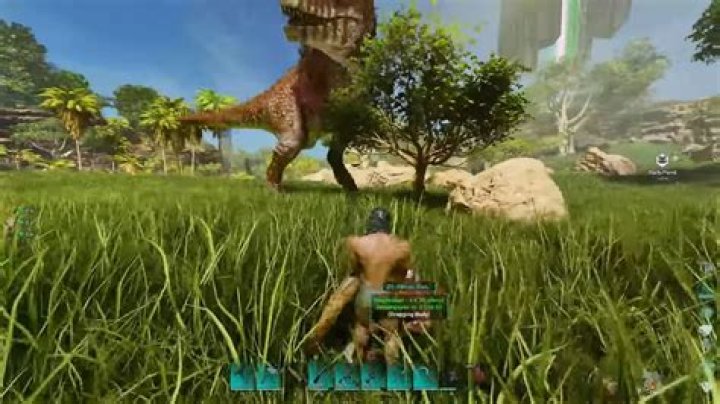 Can I tame a dinosaur that is immune to being knocked out?