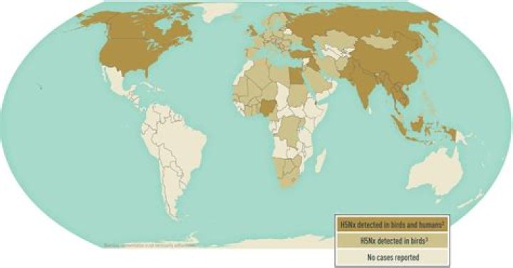 Can influenza spread to other countries?