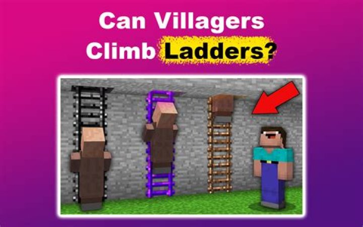Can villagers climb vines