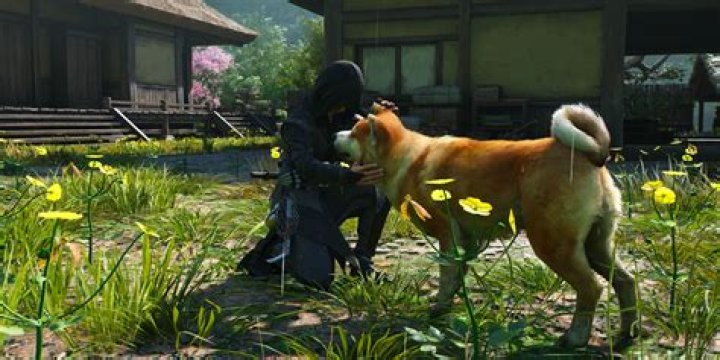 Can we max all skills in Farcry 3?