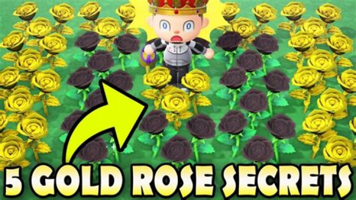 Can you breed new gold roses with existing gold roses on Animal Crossing New Horizons?