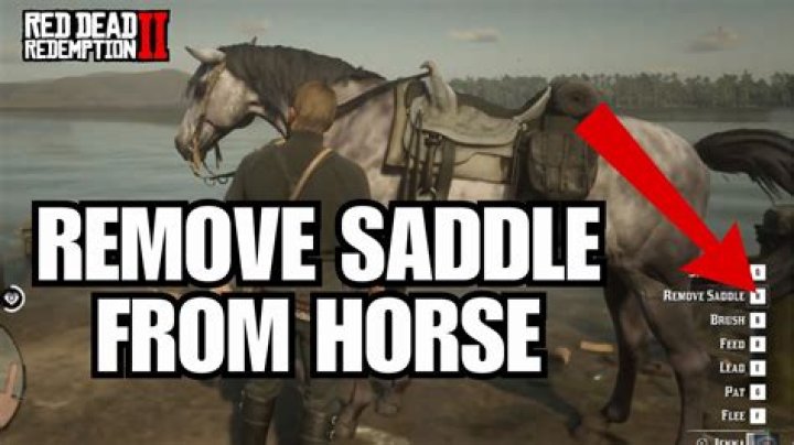 Cannot remove saddle from my dead horse remotely