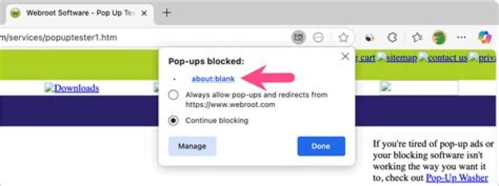 Disable pop-up hints