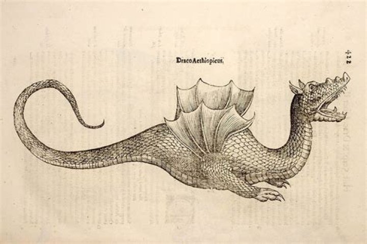 Do blood dragons have a 