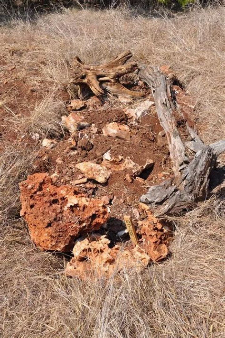Do buried corpses rot normally?