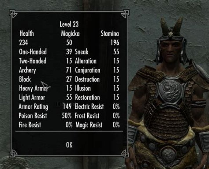 Do followers have skill levels and level similar to my characters?