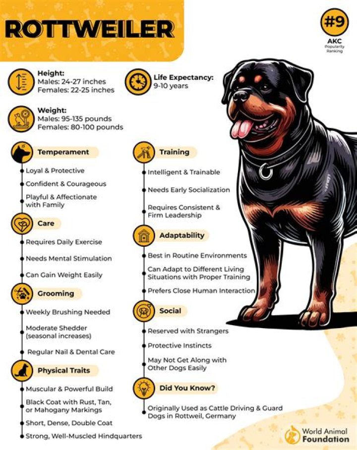 Do pets count towards 