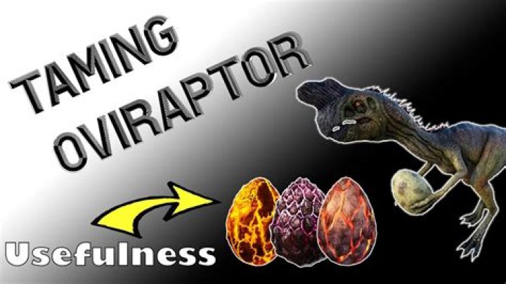 Do tamed oviraptors promote pooping?