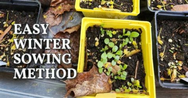 Do you have to water winter crops?