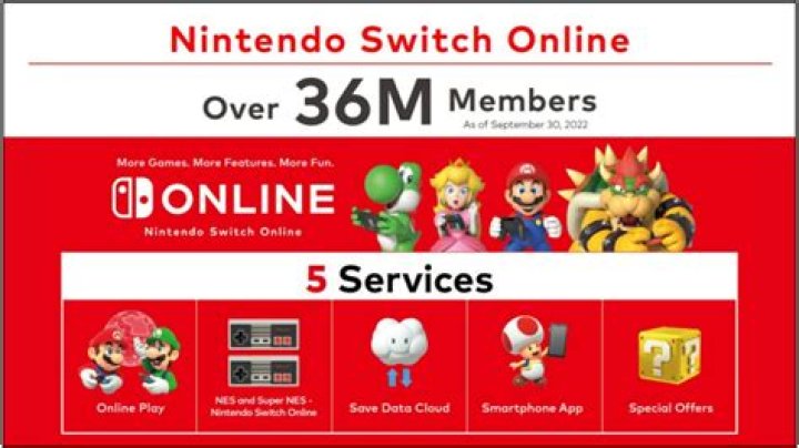Does online multiplayer require a Nintendo online subscription?