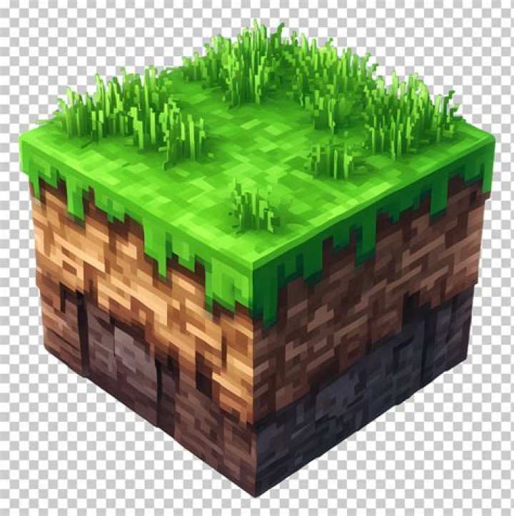 Edit grass block