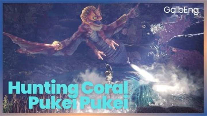 Finding Pukei-Pukei