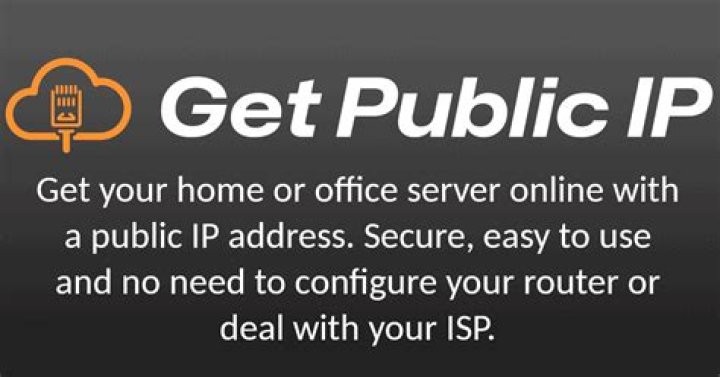 Get public IP via console