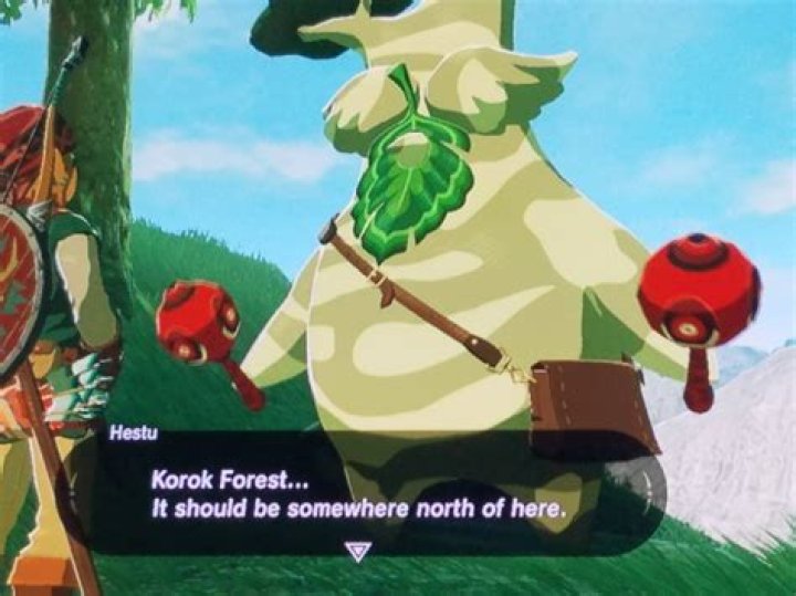 Hestu discusses Korok Forest - The Legend of Zelda: Breath of the Wild