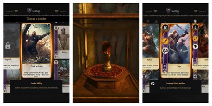 High Stake Gwent Tournament, Cards?