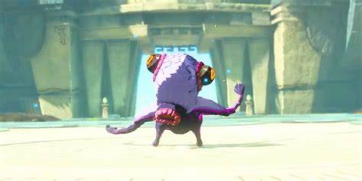 How are you supposed to get up the last room before the boss in the water temple?