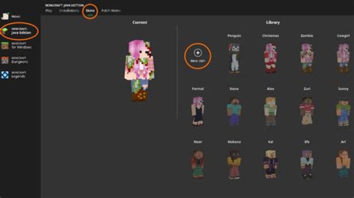 How can I change my skin?