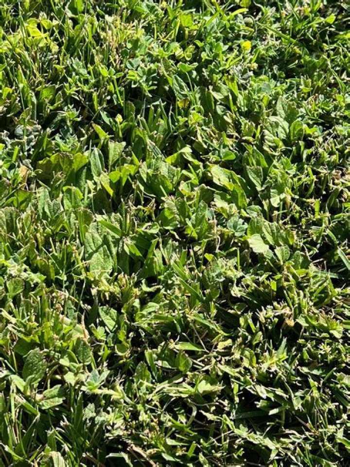 How can I deal with excess seeds?