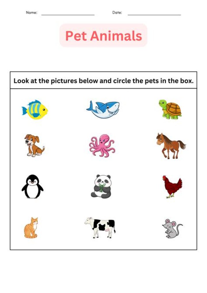 How can I find my pet wolves that I told to sit?