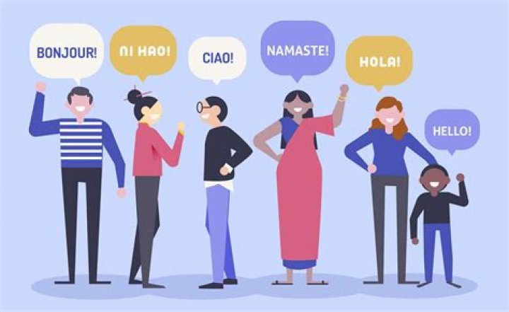 How can I force a language to be used?
