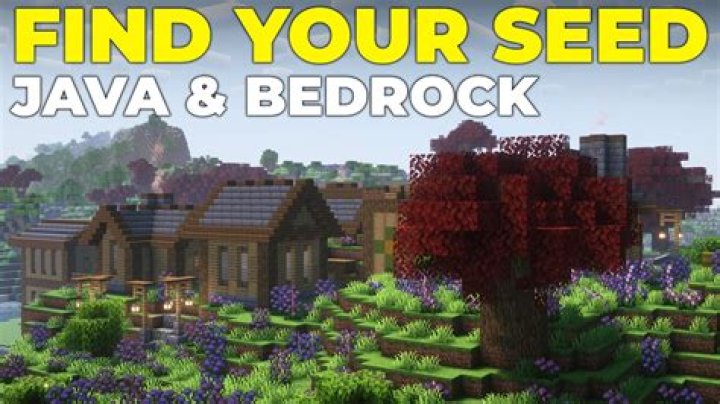How can I get the seed of a Dedicated Minecraft Bedrock Server?