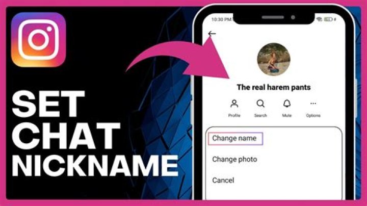 How can I give a nickname to an NPC?