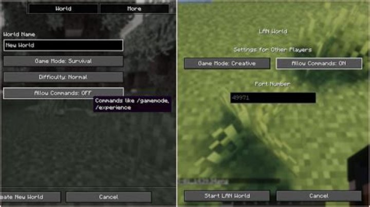 How can I kill all entities outside the world in Minecraft?