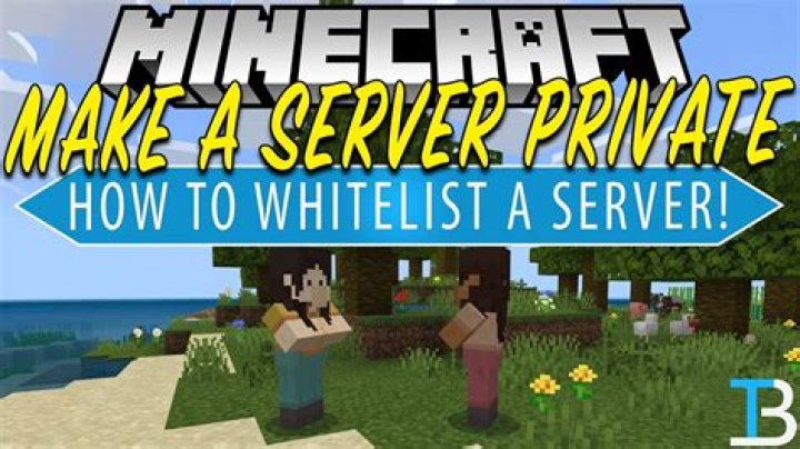 How can I make a Minecraft Server private?