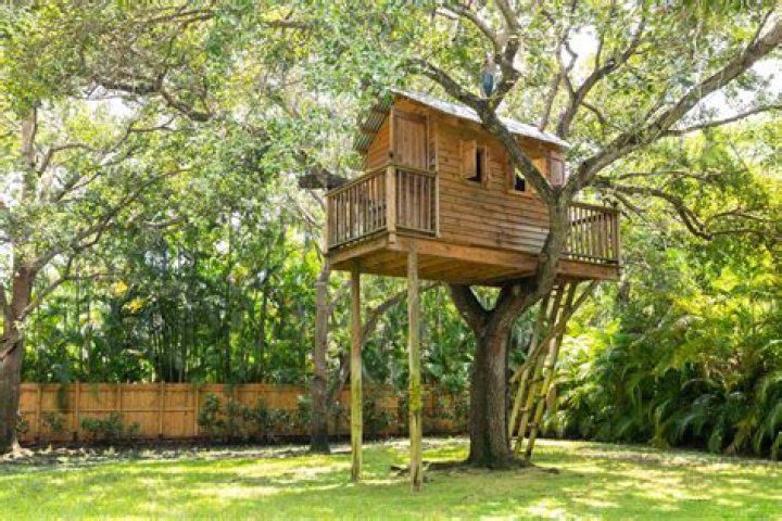 How can I make a treehouse that spiders can't get into?