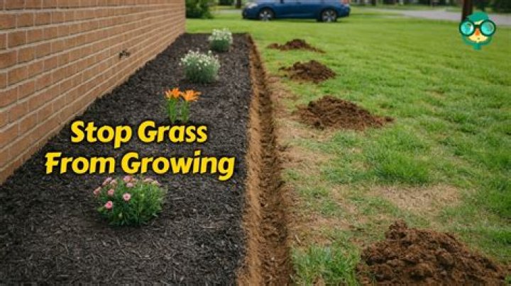 How can I prevent grass deterioration?