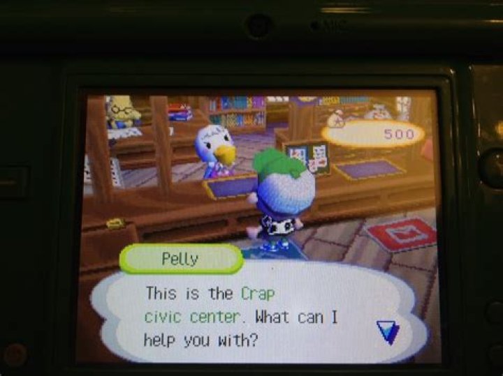 How can I rename my town in Animal Crossing?