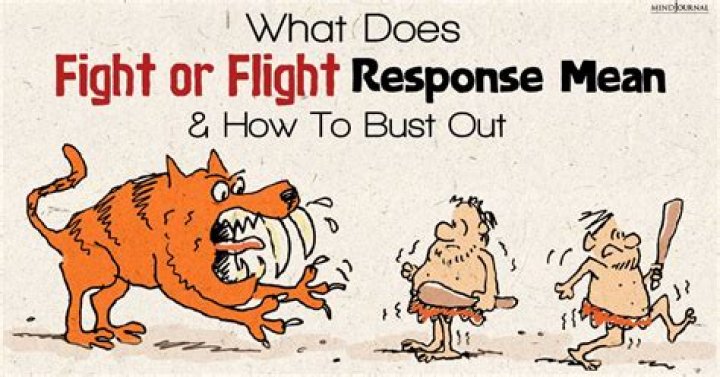 How can I tell whether I should fight or flee?