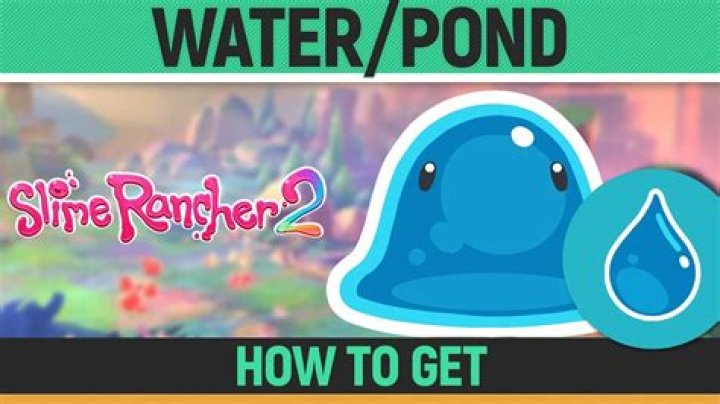 How can many Puddle Slimes can be in a pond together without blushing?