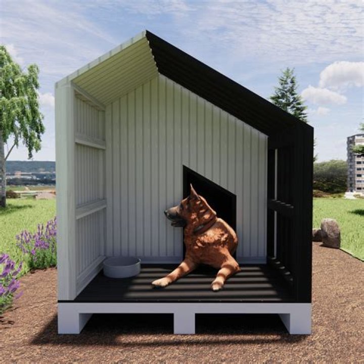 How do I build a dog house for Dogmeat?