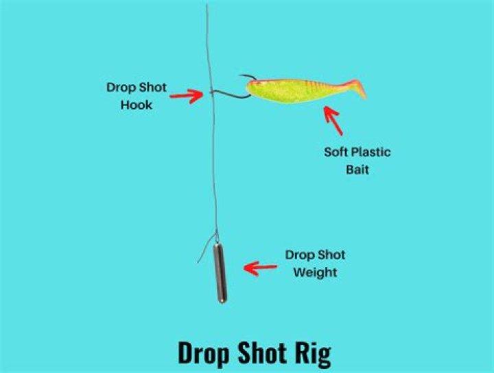 How do I counter drop shot and lob shot?