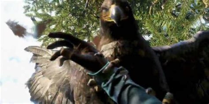 How do I defend myself against the eagles?