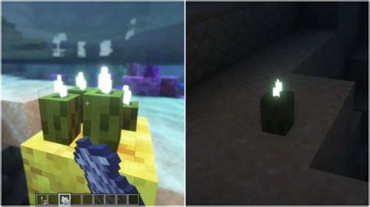 How do I find a Sea Pickle in Minecraft Wii U Edition?