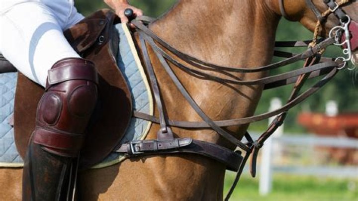 How do I get a horse/horse saddle?