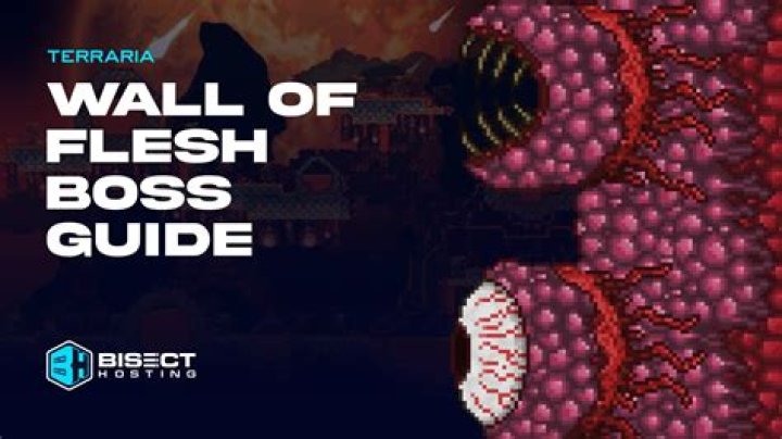 How do I kill the Wall of Flesh? [duplicate]