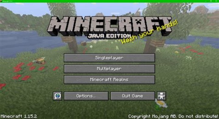 How do I know which version of Minecraft I have?